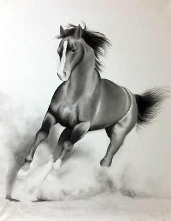 水墨画 馬の描き方の注意点と意識すること リアルな馬を描こう 白