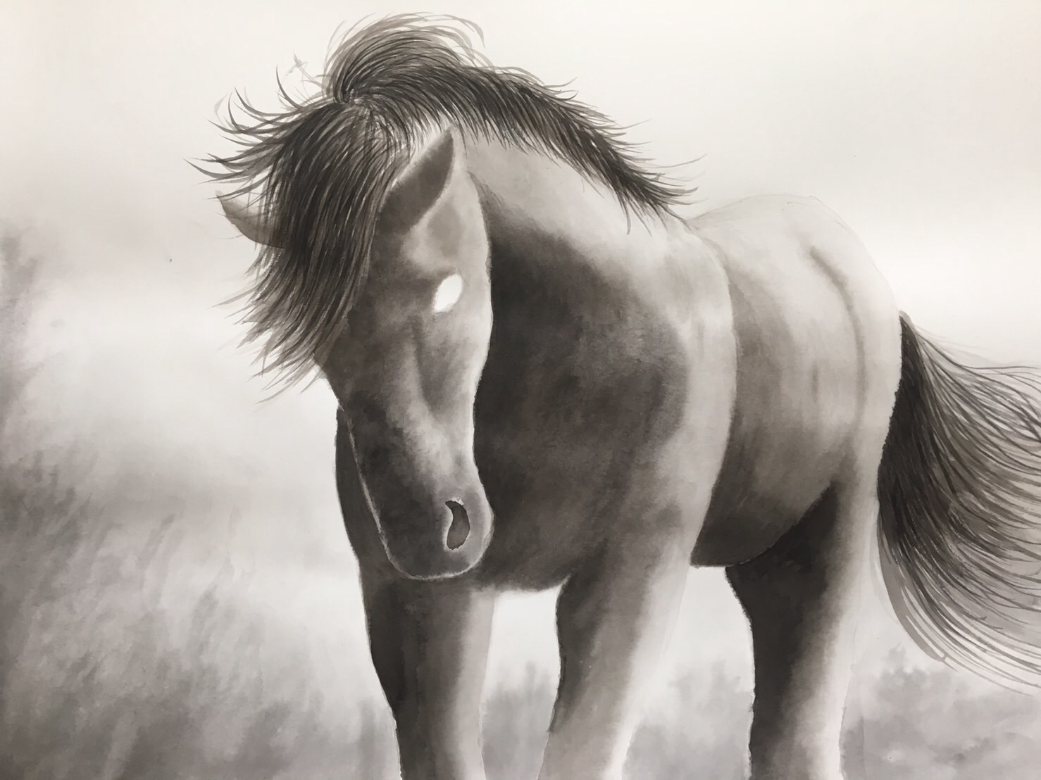 水墨画 馬の描き方の注意点と意識すること リアルな馬を描こう 白と黒の世界