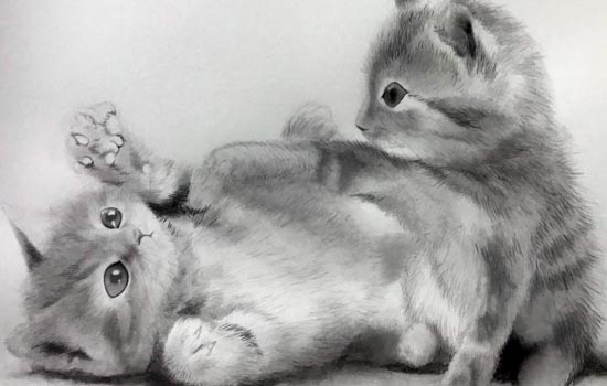水墨画 猫の描き方の注意点と意識すること 白と黒の世界