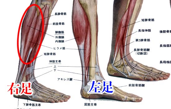 足首の違和感 捻挫の後遺症でむくみが起こる 白と黒の世界